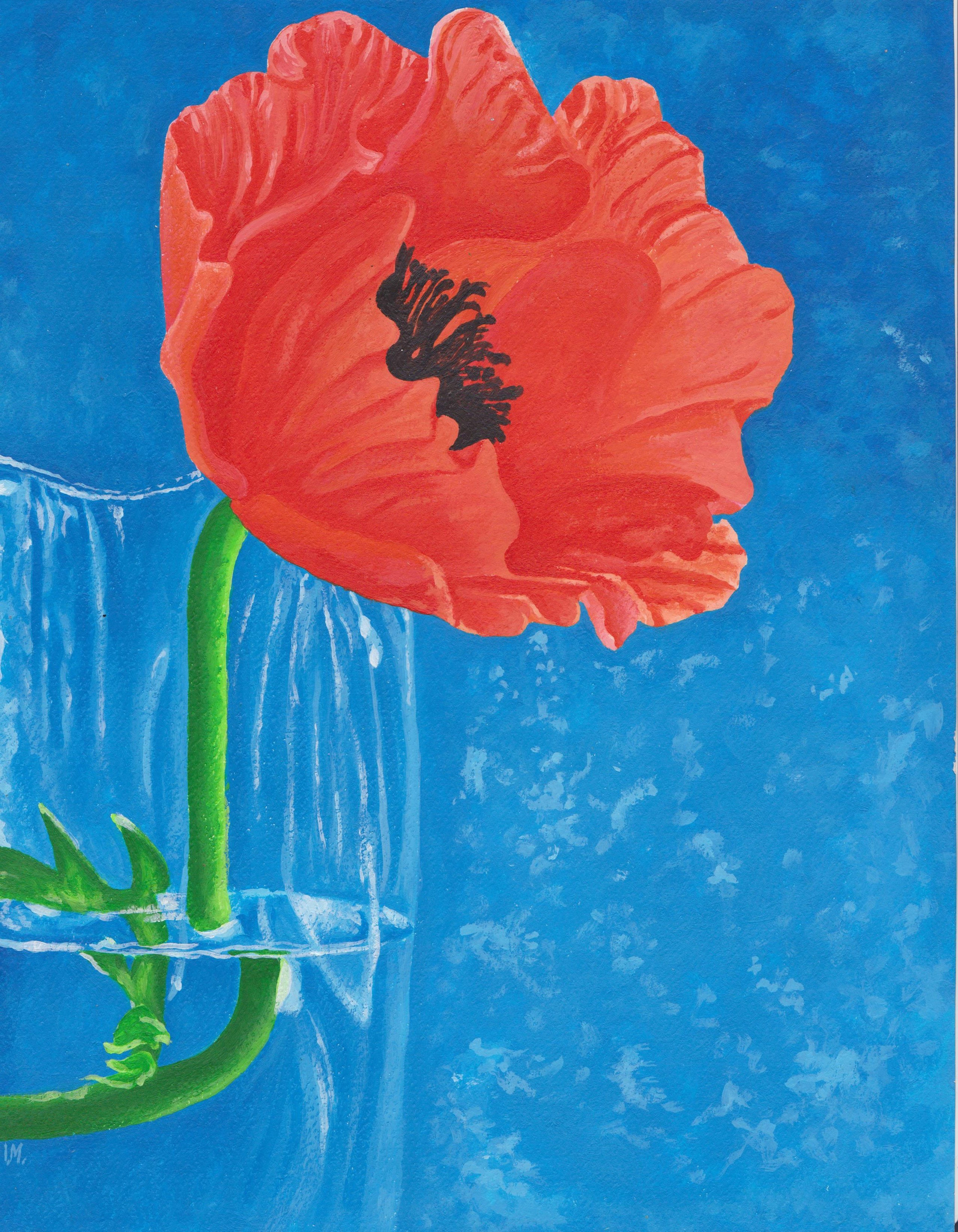 Poppy