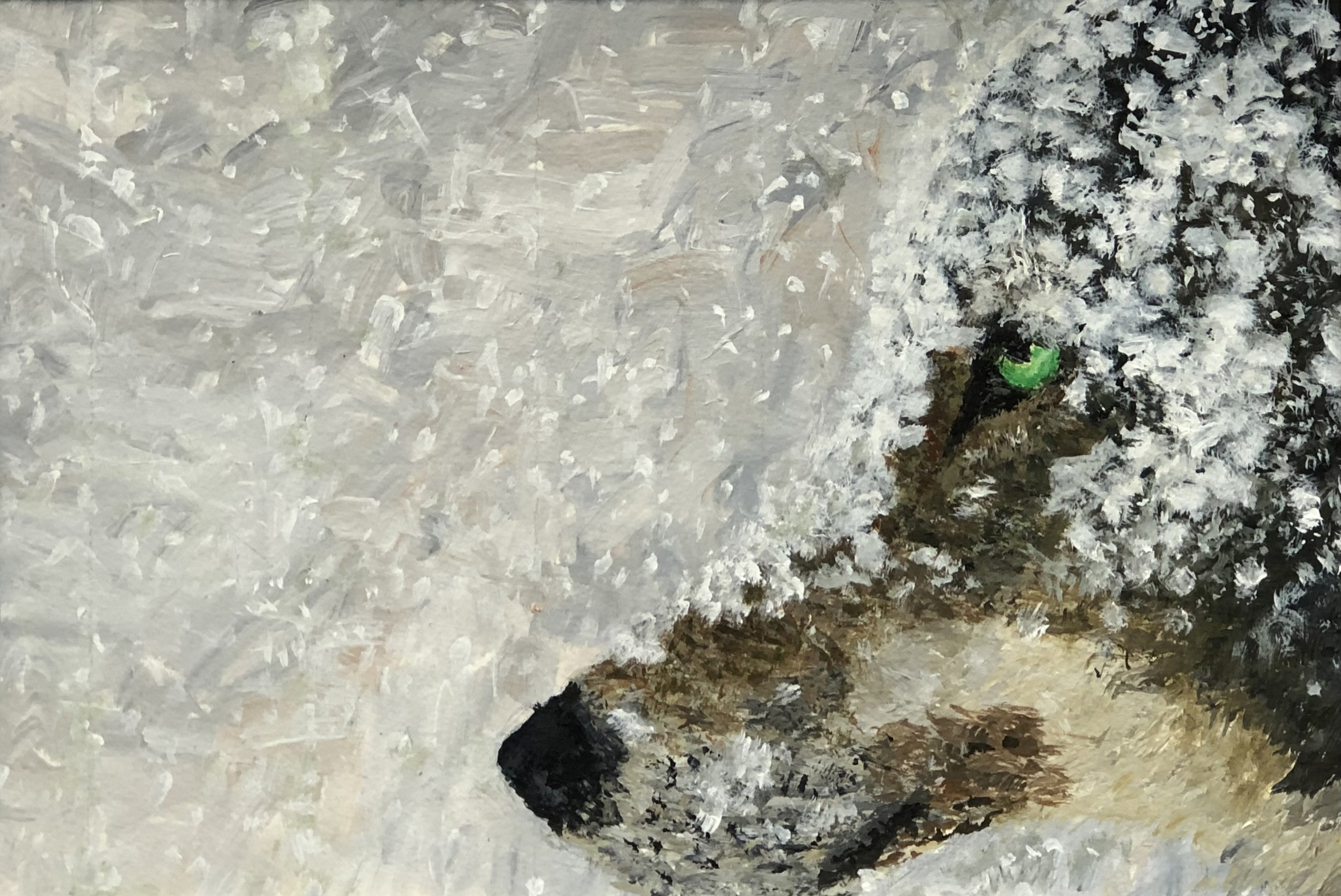 Wolf In Snow