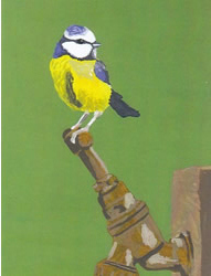 Image2