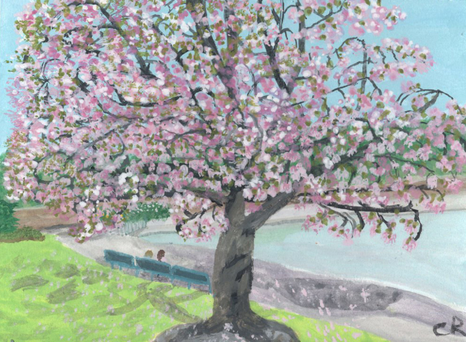 Blossom