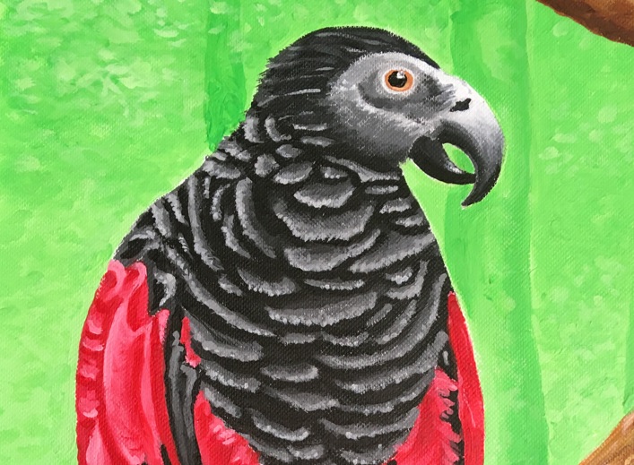 Unknown 5